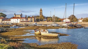 Michelin-Sterne im Mimosenwald