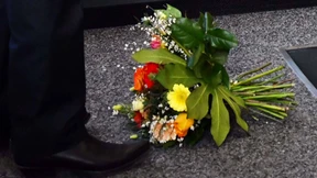 Nicht durch die Blume