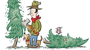 Ob Neu- oder Vollmond, das ist einem Baum ziemlich egal