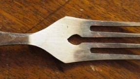 Die Sache mit den Blumen, Bienen und Homophoben