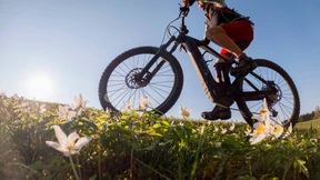 Ferien, Familien, Fahrrad
