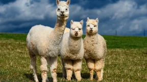 Viel Wind, Kälte und Schnee