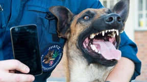 Hessens erster Handy-Spürhund