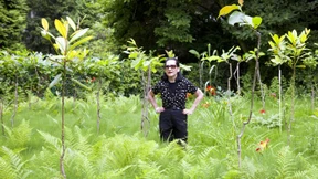 Zwischen dem Pflaster das Grün