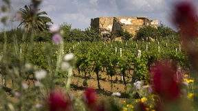 Lesen Sie die Test-Bewertungen in der Bilderstrecke