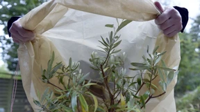 Wird es noch mal frostig?