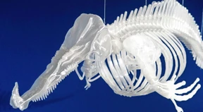 „Plastic World“ erfindet das Tier der Zukunft