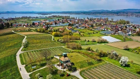 Eine Insel der Glückseligen