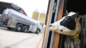 Landwirte fordern mehr Geld für Milch und Fleisch