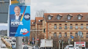 Wie die AfD ihr einziges Direktmandat geholt hat