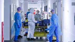 Das Notwendige wird nicht getan