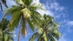 Zurück in die Zukunft