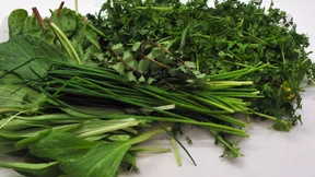 Hoffen auf ein Ende der Borretsch-Krise