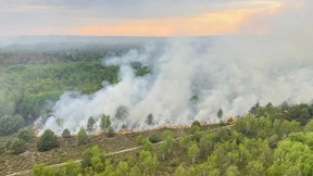 Dieser Sommer soll wieder extrem trocken und heiß werden