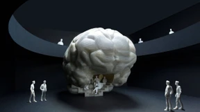 Senckenberg will begehbares Gehirn zeigen