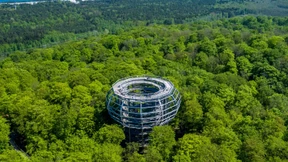 Schwankende Begeisterung