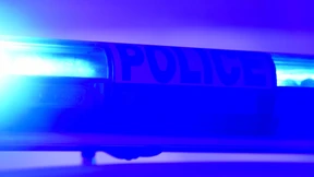 Illegaler Handel in „Telegram“-Gruppen – Kranführer festgenommen