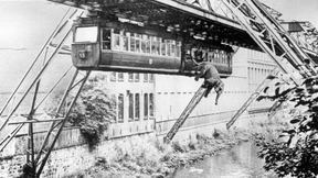 Als Elefantenkuh Tuffi aus der Schwebebahn sprang