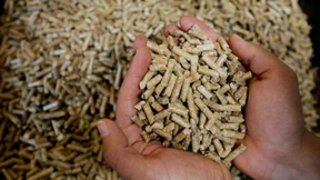 Warum Pelletheizungen nicht beim Klimaschutz helfen