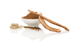 Was können die Vitalpilze?