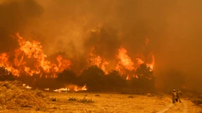 Zahl der Tage mit hohem Waldbrandrisiko hat sich fast verdreifacht
