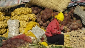 Die Chinesen: zum Kartoffel-Essen verdammt 