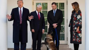 Trump zeichnet Militärhund aus