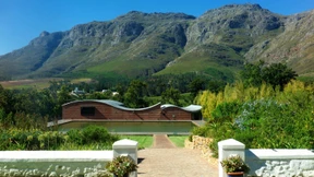 Vergesst den Spatzendreck!