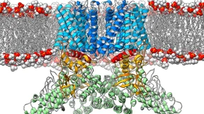 Künstliche Intelligenz macht ernst im Biolabor