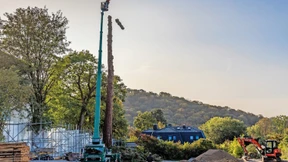 Trauer um den Mammutbaum