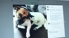 Von der Zukunft des Fernsehens nichts Neues