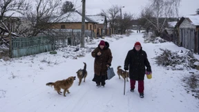 Versorgung von Hunden in der Ukraine