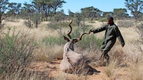Eine afrikanische Industrie für Jagd und Artenschutz