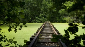 Die drei Gefährten Rot, Rot, Grün