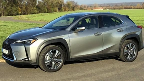 Der mit dem Strom schwimmt