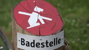 Der Streit zwischen Badegästen und Hunden geht weiter