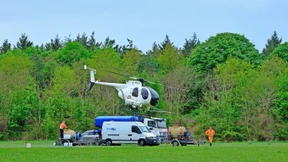 Hubschraubereinsatz gegen giftige Raupen