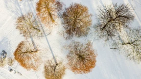 Kälterekorde fallen in vielen Teilen Deutschlands