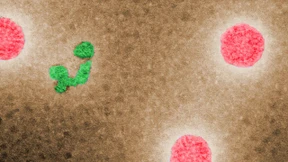 Gefahr aus dem Labor 