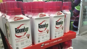 Monsanto muss Strafe von 400.000 Euro in Frankreich zahlen