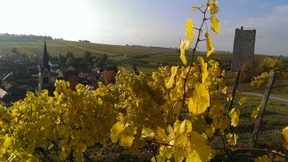 Eine kurze Geschichte der Liebe