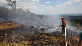 Heiße, trockene Sommer werden normal