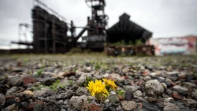 Noch Schadstoffe oder schon Bodenschätze?