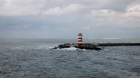 Unterm Rotor wächst das Riff