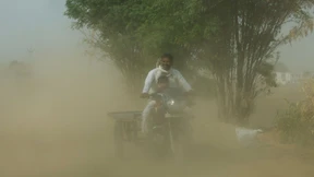 Knapp 40 durstige Affen in Brunnen ertrunken