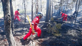 Feuerwehrleute kämpfen gegen Waldbrände in Kanada
