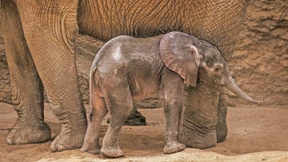 Das Ferienprogramm im Taunus