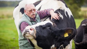 Wie ein Schlachter einem Kälbchen das Leben rettete
