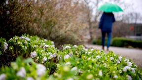Danke für das Wahlgeschenk!