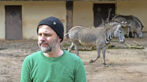 Im Gehege der Gedanken